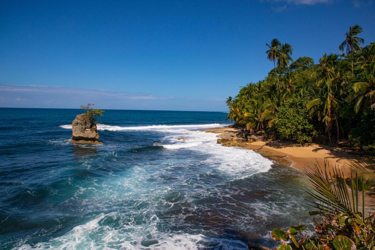 Gigi Brown Villa Frida Beachfront Puerto Viejo de Talamanca Экстерьер фото