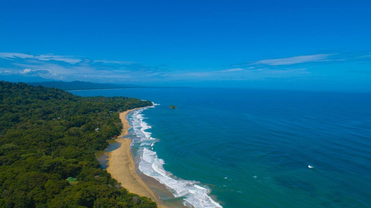 Gigi Brown Villa Frida Beachfront Puerto Viejo de Talamanca Экстерьер фото